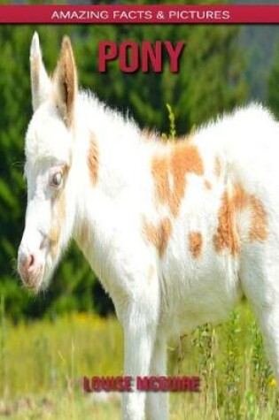 Cover of Pony