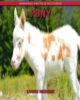 Book cover for Pony