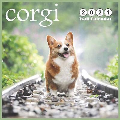 Book cover for corgi