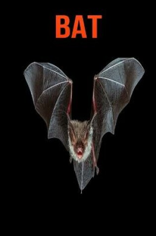 Cover of Bat