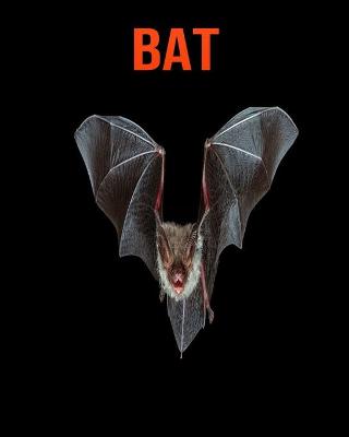 Book cover for Bat