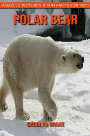 Cover of Polar bear