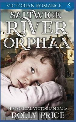 Book cover for Saltwick River Orphan