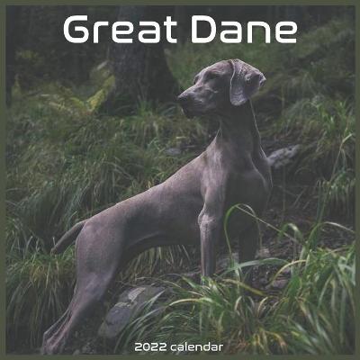 Book cover for Great Dane Calendar 2022