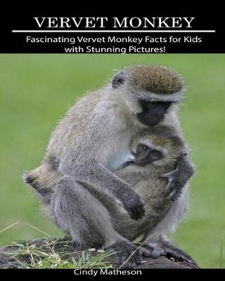 Book cover for Vervet Monkey