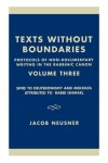 Book cover for Texts Without Boundaries: Protocols of Non-Documentary Writing in the Rabbinic Canon