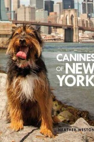 Cover of Canines of New York