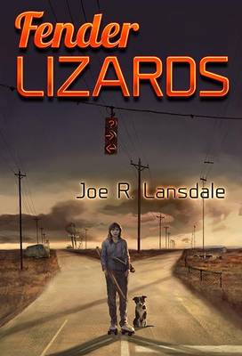 Book cover for Fender Lizards