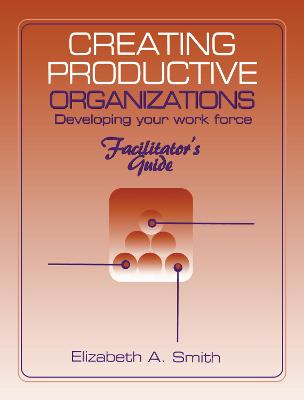 Book cover for Creating Productive Organizations