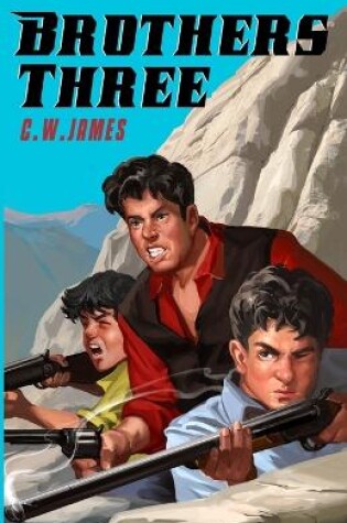 Cover of Brothers Three
