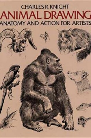 Cover of Animal Drawing