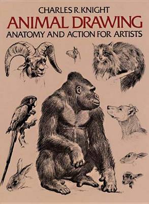 Book cover for Animal Drawing