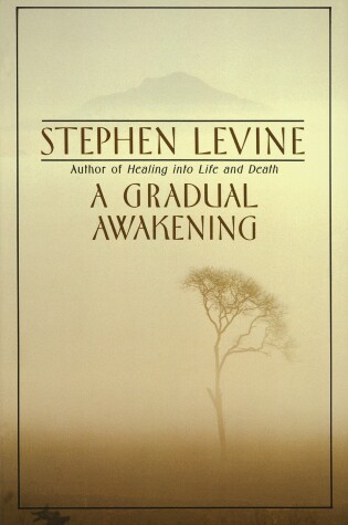Cover of A Gradual Awakening