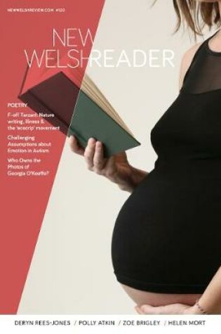 Cover of New Welsh Reader (New Welsh Review 120, Summer 2019)