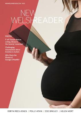 Book cover for New Welsh Reader (New Welsh Review 120, Summer 2019)