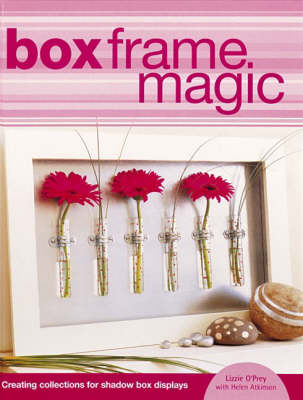 Book cover for Box Frame Magic