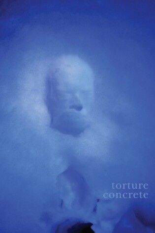 Cover of Torture Concrete