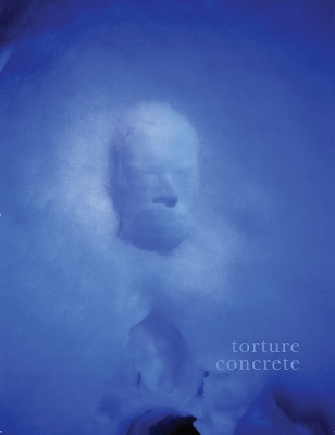 Book cover for Torture Concrete