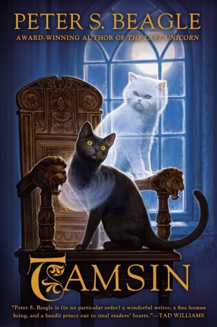 Cover of Tamsin