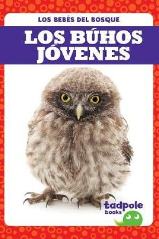 Cover of Los Buhos Jovenes (Owlets)