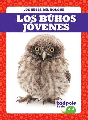 Book cover for Los Buhos Jovenes (Owlets)