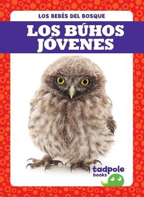 Book cover for Los Búhos Jóvenes (Owlets)