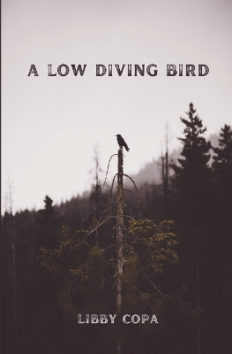 Book cover for A Low Diving Bird