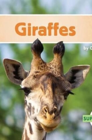 Cover of Giraffes