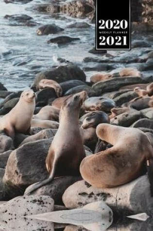 Cover of Seal Manatee Sea Lion Cow Walrus Dugong Week Planner Weekly Organizer Calendar 2020 / 2021 - Stony