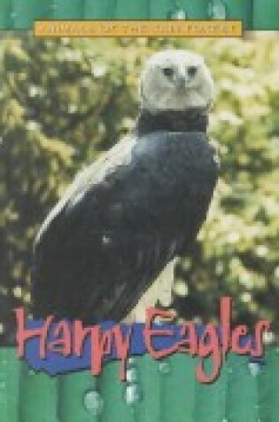 Cover of Harpy Eagles