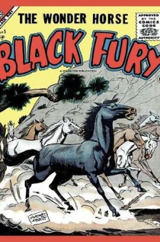 Cover of Black Fury # 5