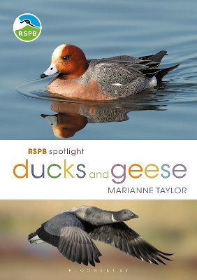 Cover of RSPB Spotlight Ducks and Geese