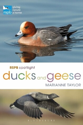 Cover of RSPB Spotlight Ducks and Geese