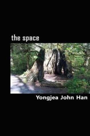 Cover of The Space