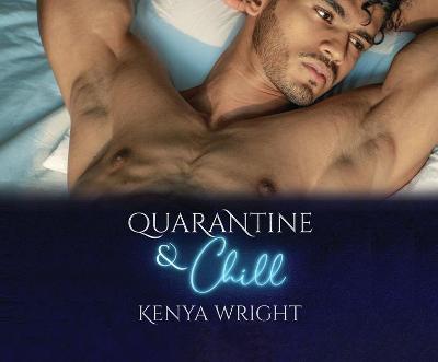 Book cover for Quarantine and Chill