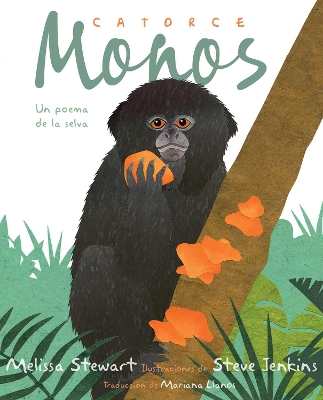 Book cover for Catorce monos (Fourteen Monkeys)
