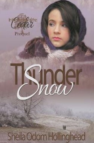 Cover of Thunder Snow