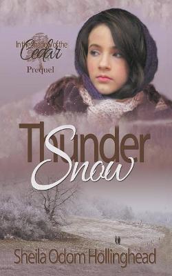 Book cover for Thunder Snow