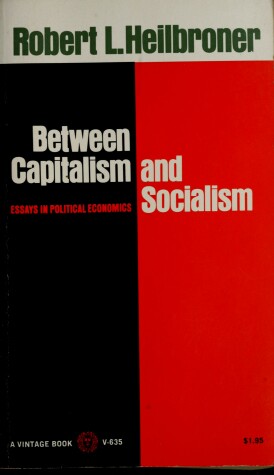 Book cover for Between Capitalism and Socialism