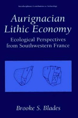 Cover of Aurignacian Lithic Economy