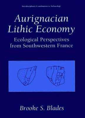 Book cover for Aurignacian Lithic Economy