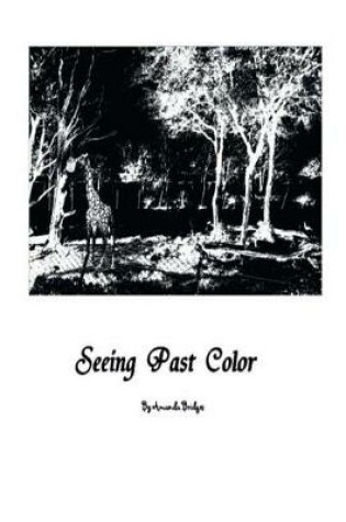 Cover of Seeing Past Color
