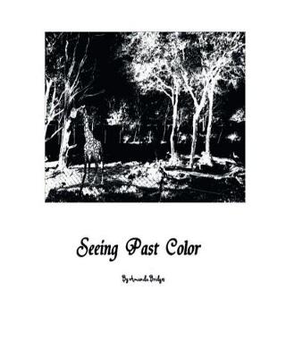 Cover of Seeing Past Color