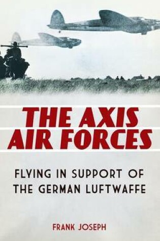 Cover of The Axis Air Forces