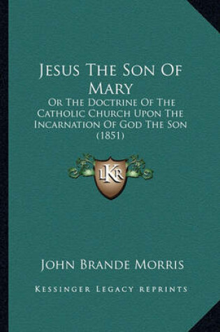 Cover of Jesus the Son of Mary Jesus the Son of Mary