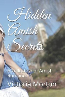 Book cover for Hidden Amish Secrets