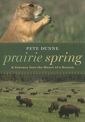 Book cover for Prairie Spring