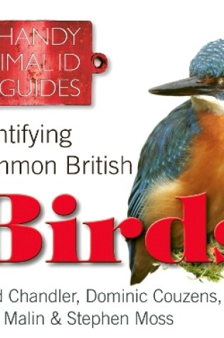 Cover of Identifying Common British Birds