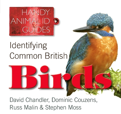 Cover of Identifying Common British Birds