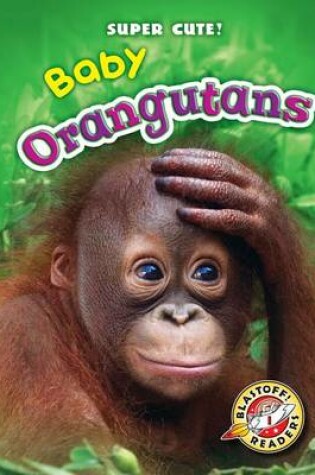 Cover of Baby Orangutans